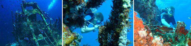 grenada dive site wreck veronica